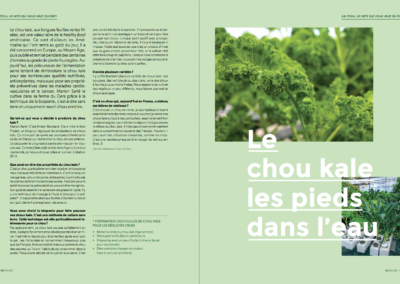 Article chou Kale Les Sourciers