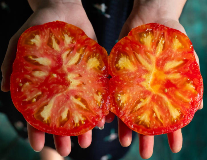 Tomates ©Alexandre Asmodé Nourrir les populations