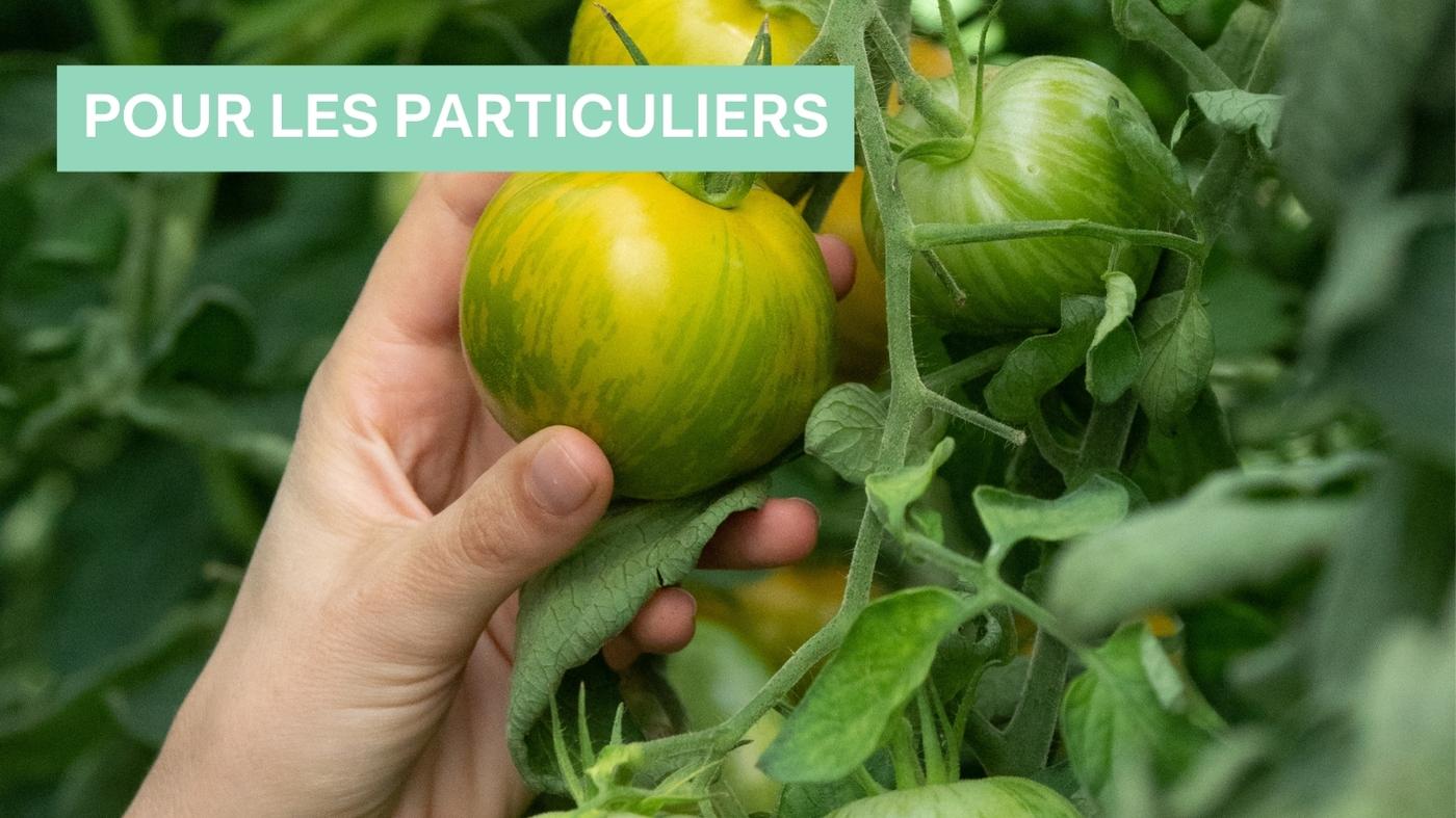 bannières00002