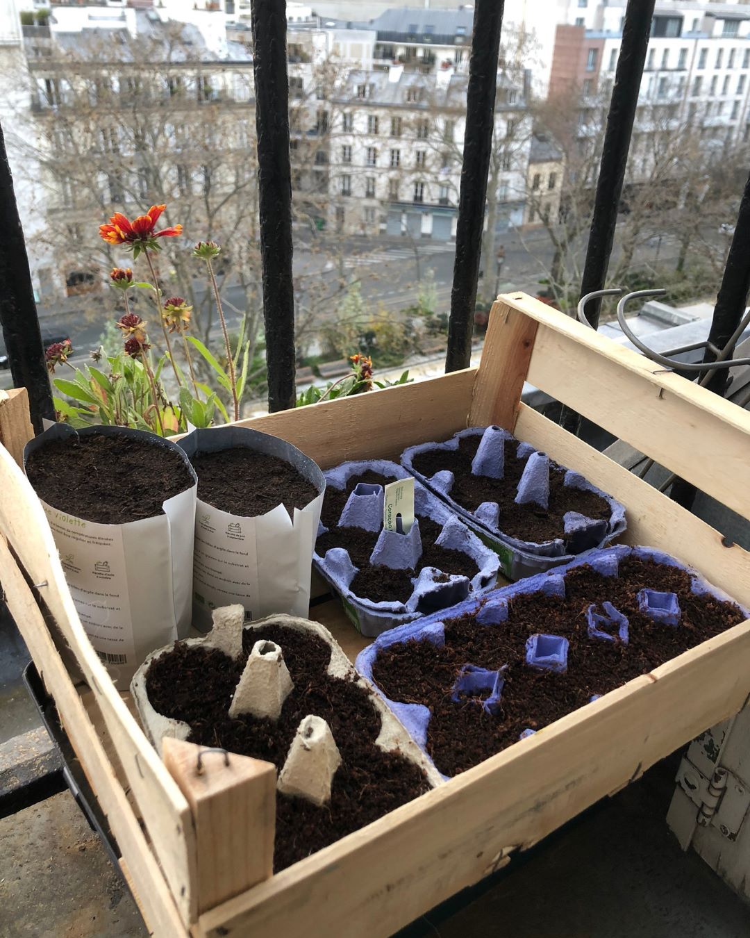 Hydroponie : cultiver sur un balcon à Paris ? Le témoignage de Jean #2