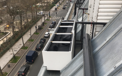 Un balcon parisien en hydroponie #5