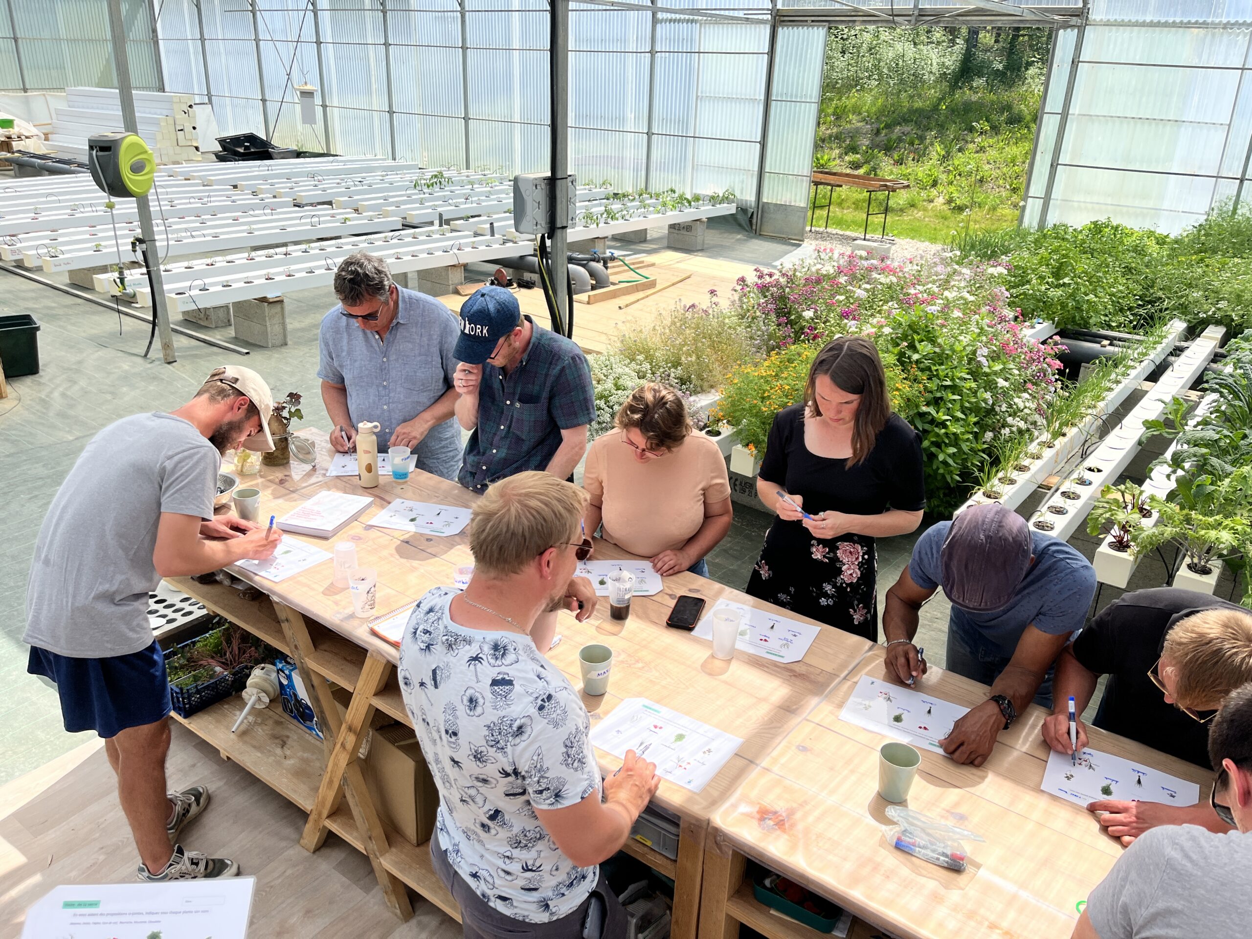 Formation en hydroponie à la ferme des Sourcier