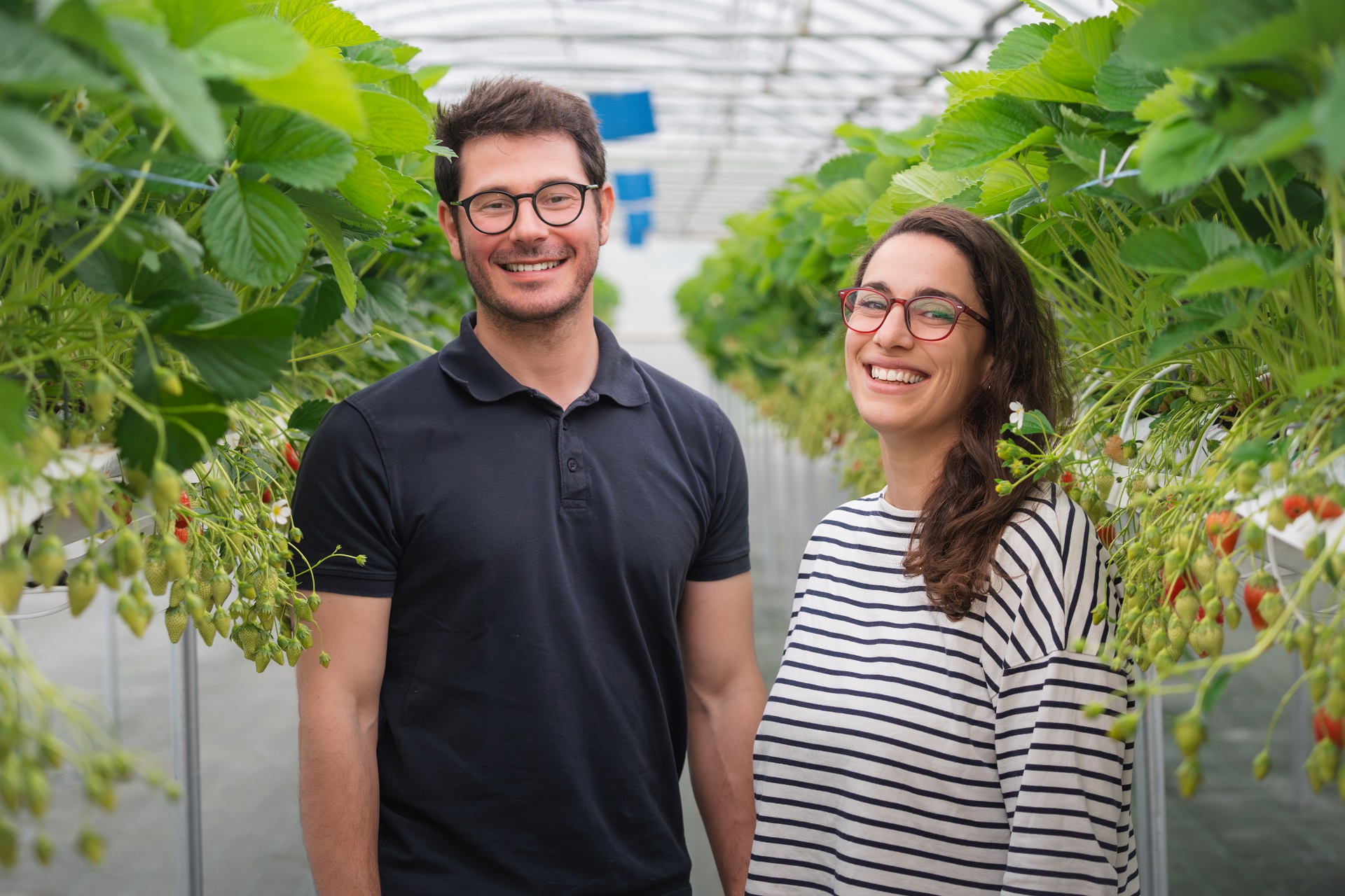 Formation Produire des Fraises