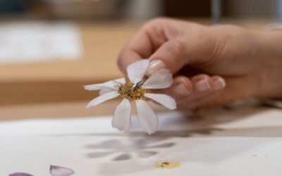 DIY : Autocollants fleuris fait maison