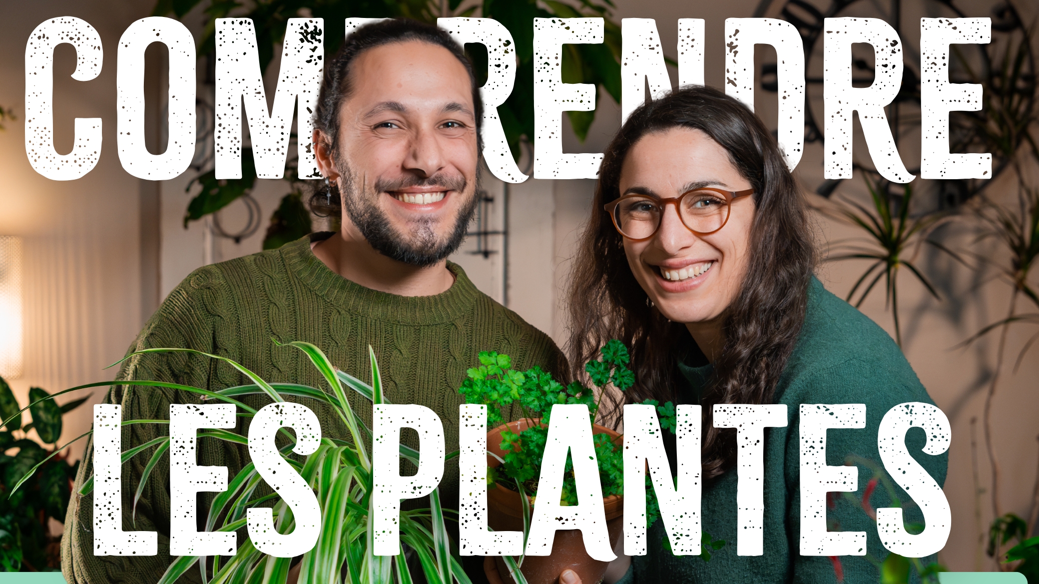 Comprendre les Plantes (miniature yt)