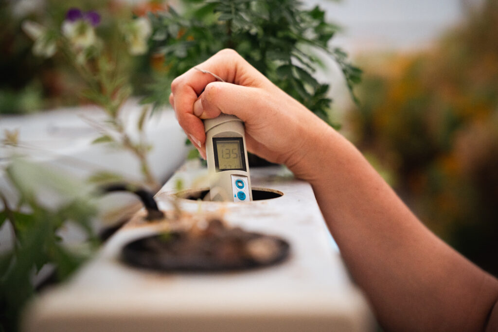 Meilleures techniques pour mesurer le pH et l'EC en hydroponie