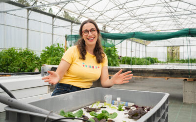 Comment débuter avec la bioponie à la maison