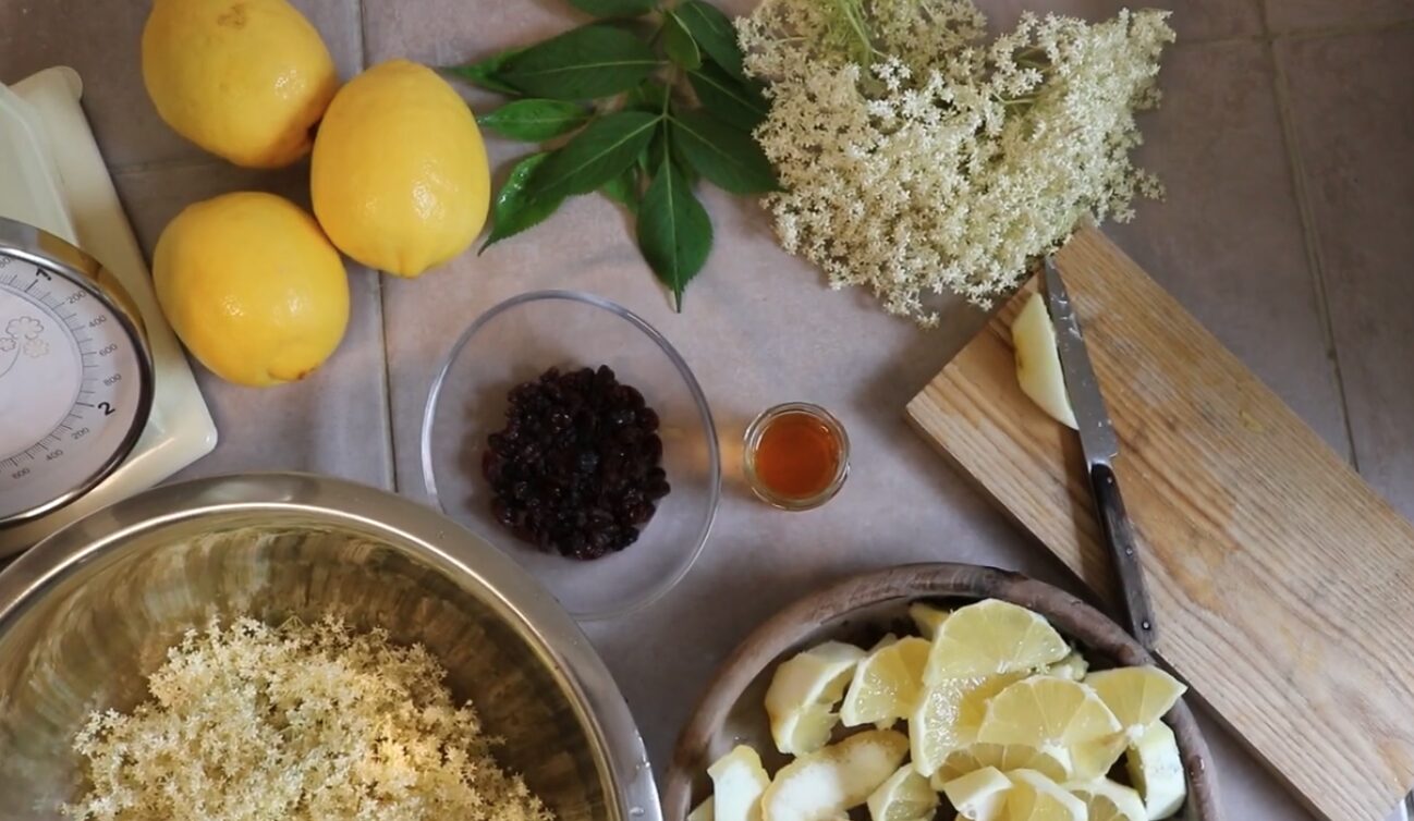 recette limonade de sureau