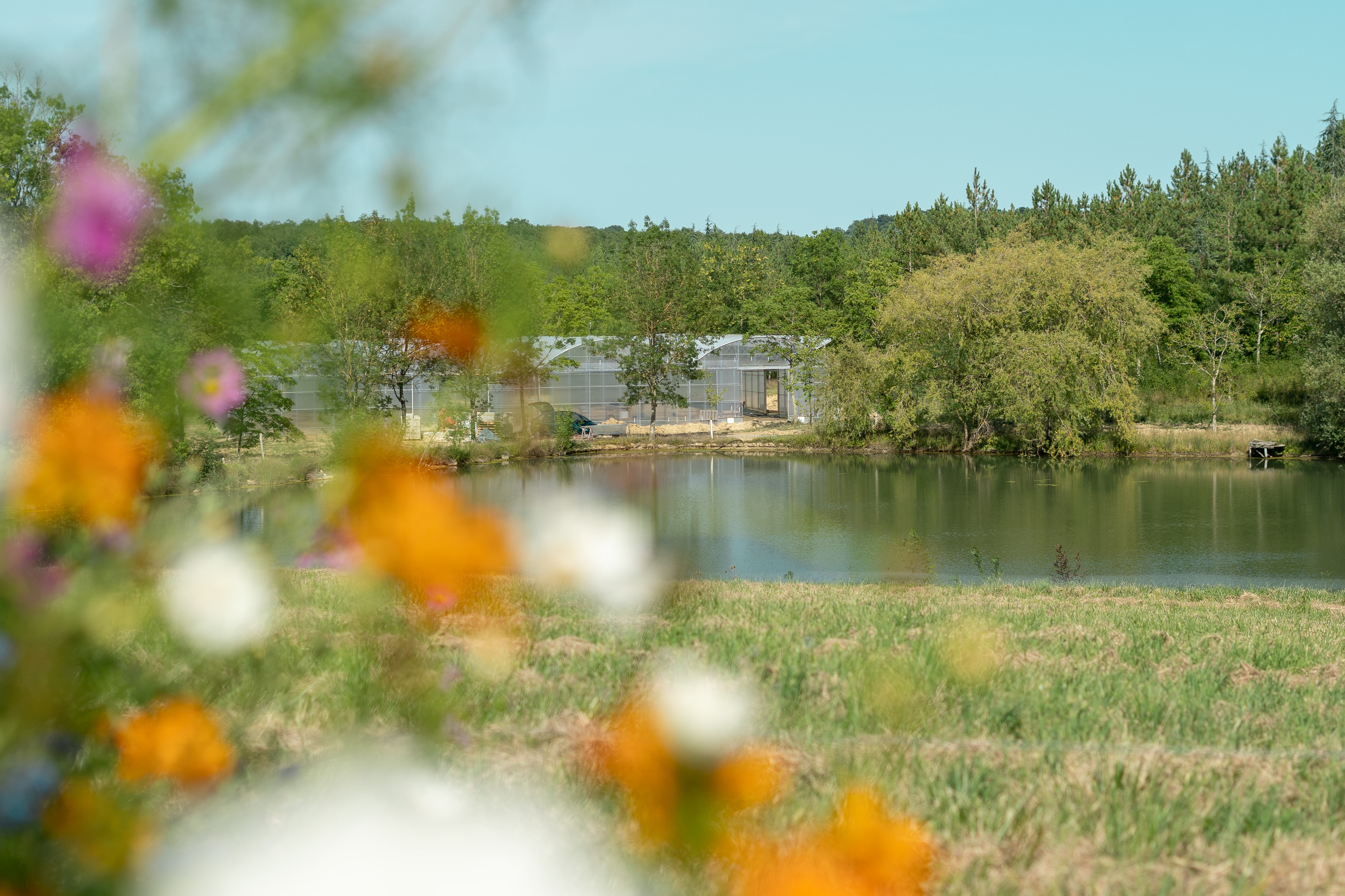 Serre Les Sourciers vue de l'extérieur