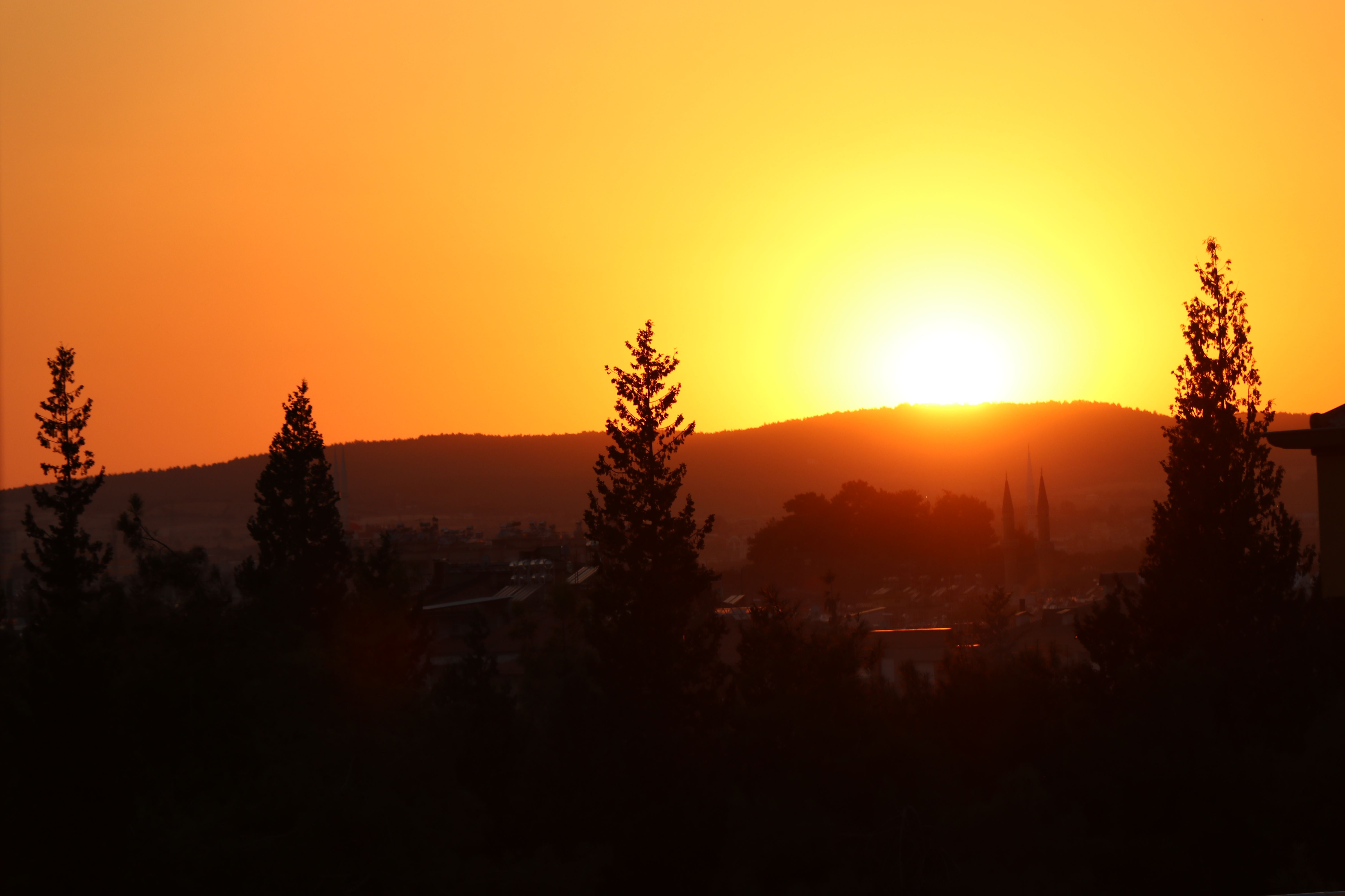 pexels-hasanalbari-soleil Soleil by Hasan Albari